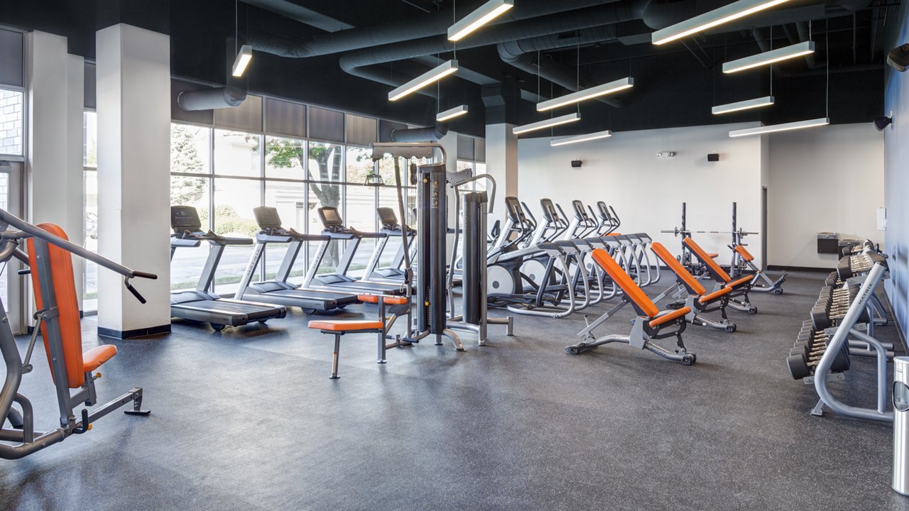 large open gym with machines and free weights